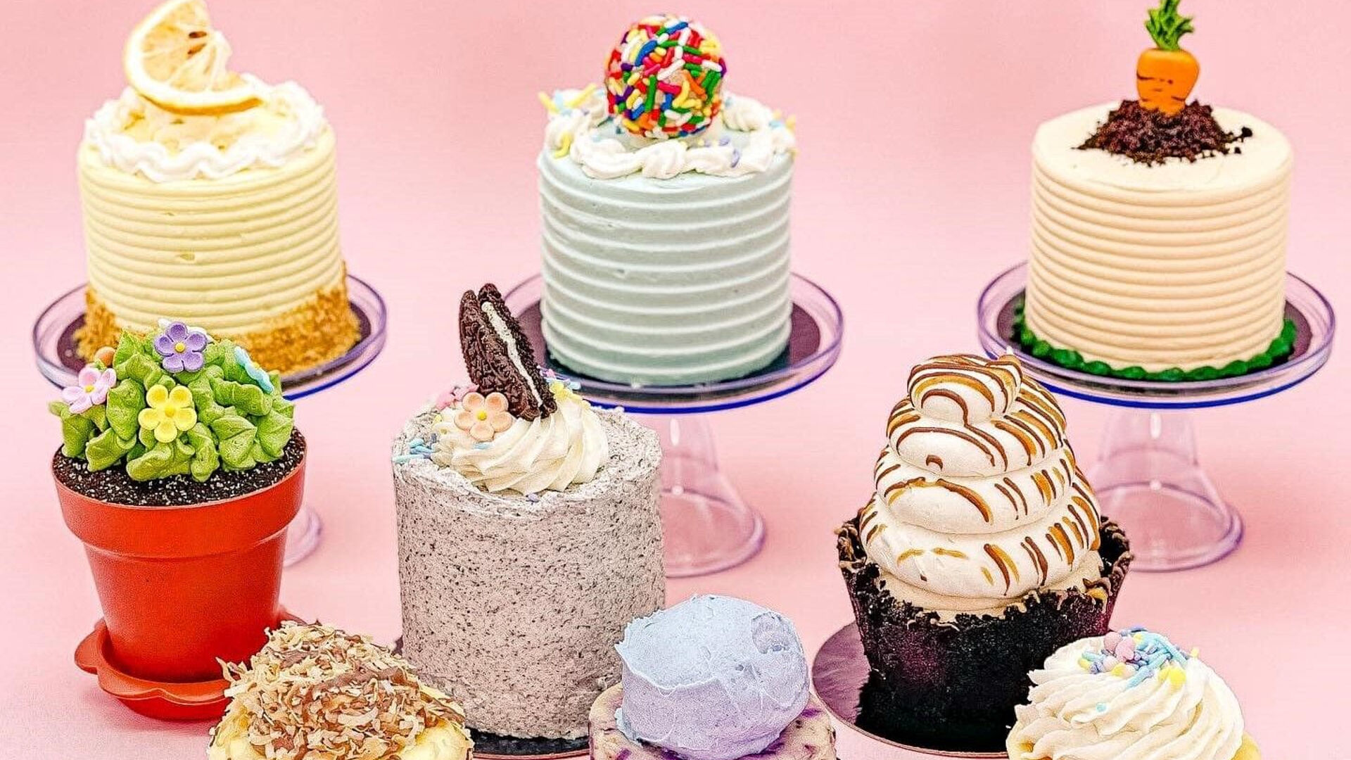 Cake & Corolla group